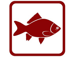 1С:Рыбопереработка